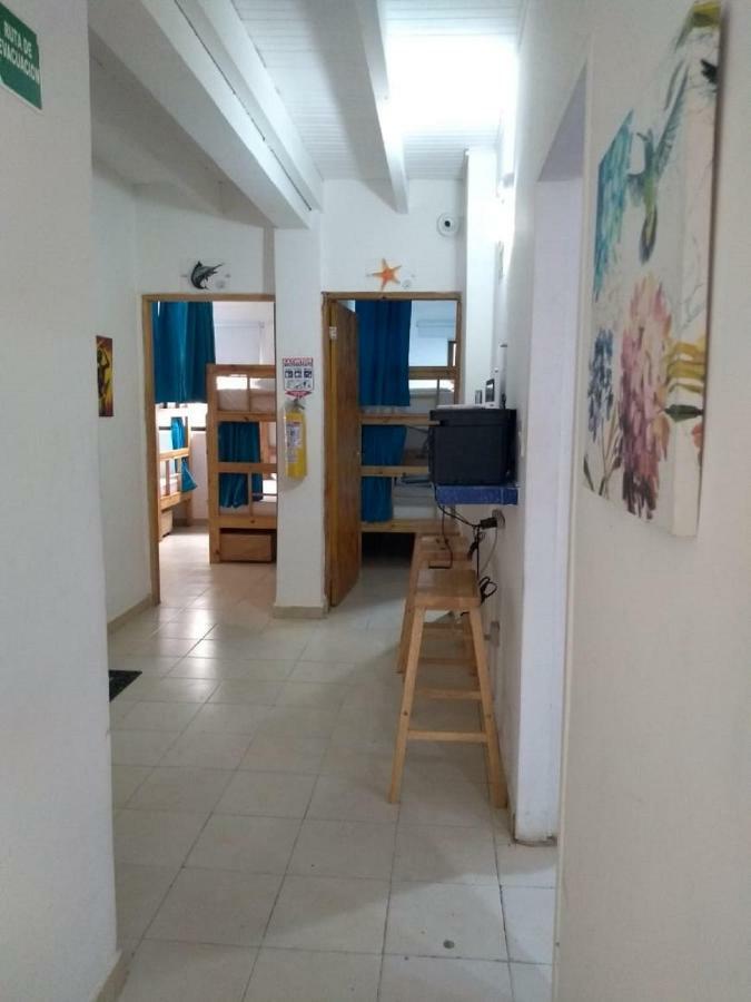 Palo Alto Hostel *